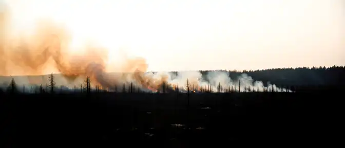 Огненный апокалипсис в Европе: масштаб лесных пожаров в ЕС бьет рекорды