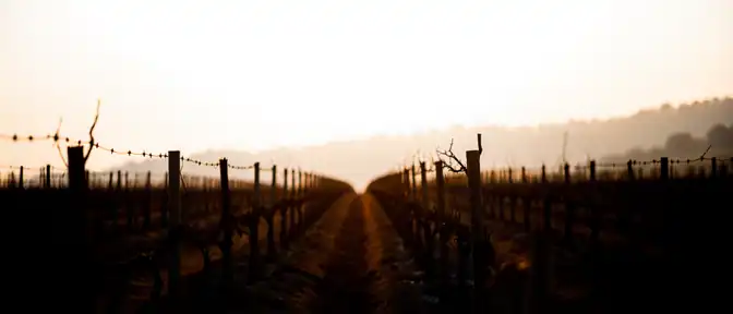 Юг Франции в огненном плену: аномальная жара до 41 градуса угрожает региону Гар