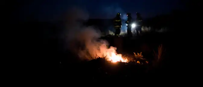 Последствия падения БПЛА: под Дюрсо потушили лесной пожар