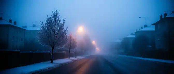 Повышенный риск стихийных бедствий в Московской области из-за ночных заморозков и туманов