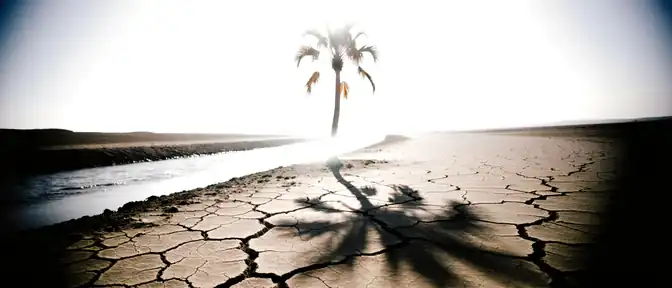 Прогноз Climate Impact Lab указывает на риск гибели более 450 тысяч человек из-за экстремальной жары в период Эль-Ниньо