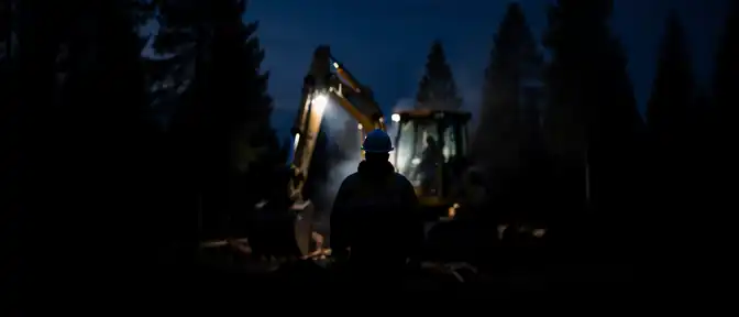 Семнадцать человек пострадали от атак бурых медведей в Сибири и на Дальнем Востоке в текущем году